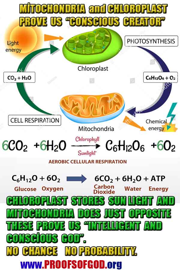 proofs of god, evidences of god