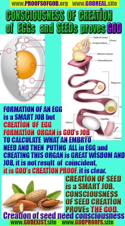 proofs of god, evidences of god