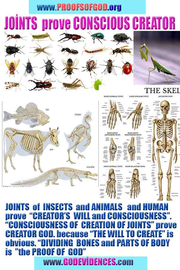 proofs of god, evidences of god