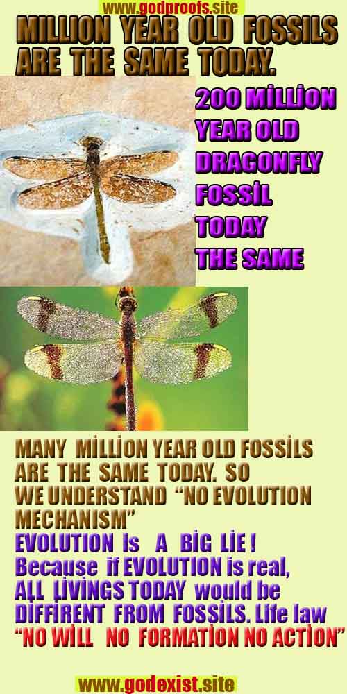 proofs of god, evidences of god