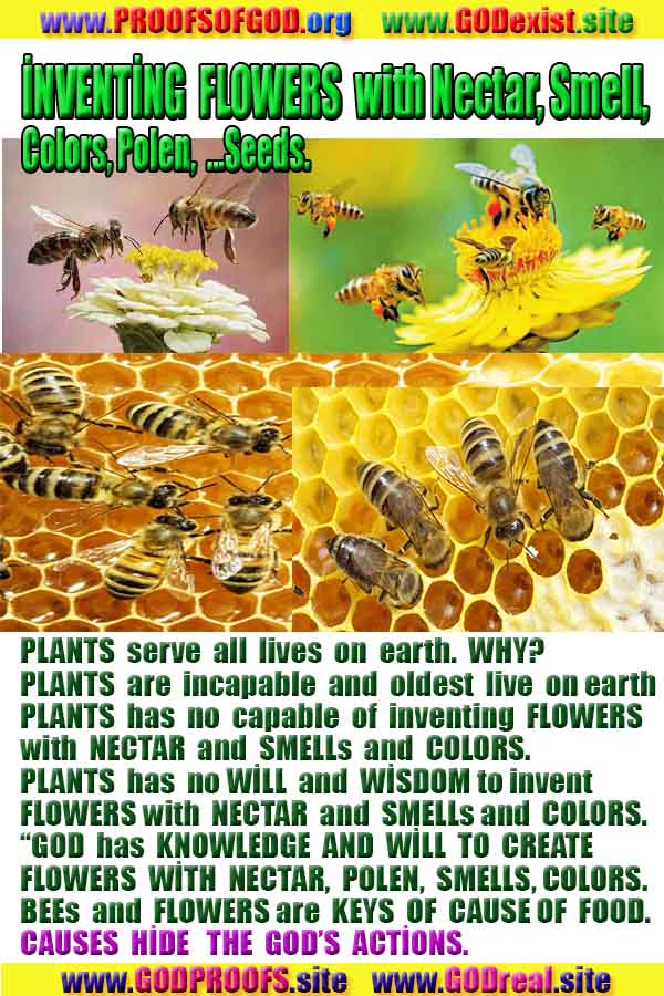 proofs of god, evidences of god